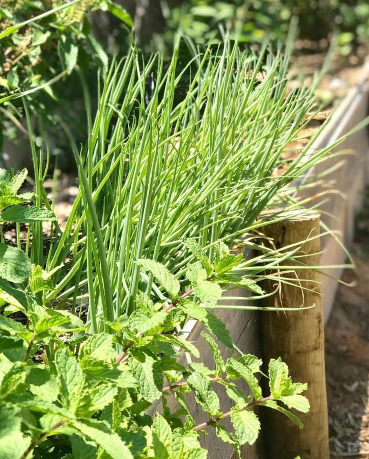 Pousada Pais Tropical Icarai  Ngoại thất bức ảnh