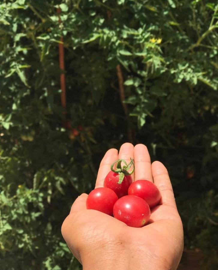 Pousada Pais Tropical Icarai  Ngoại thất bức ảnh